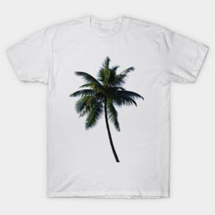 Coconut Palm T-Shirt